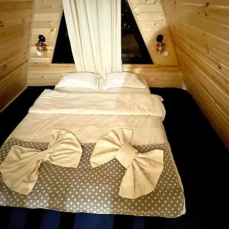 Ska Cottage カズベギ エクステリア 写真