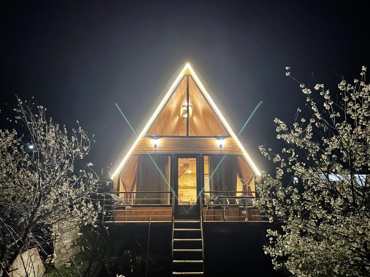 Ska Cottage カズベギ エクステリア 写真