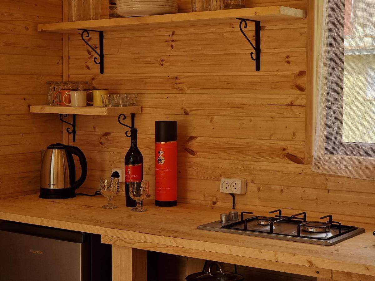 Ska Cottage カズベギ エクステリア 写真